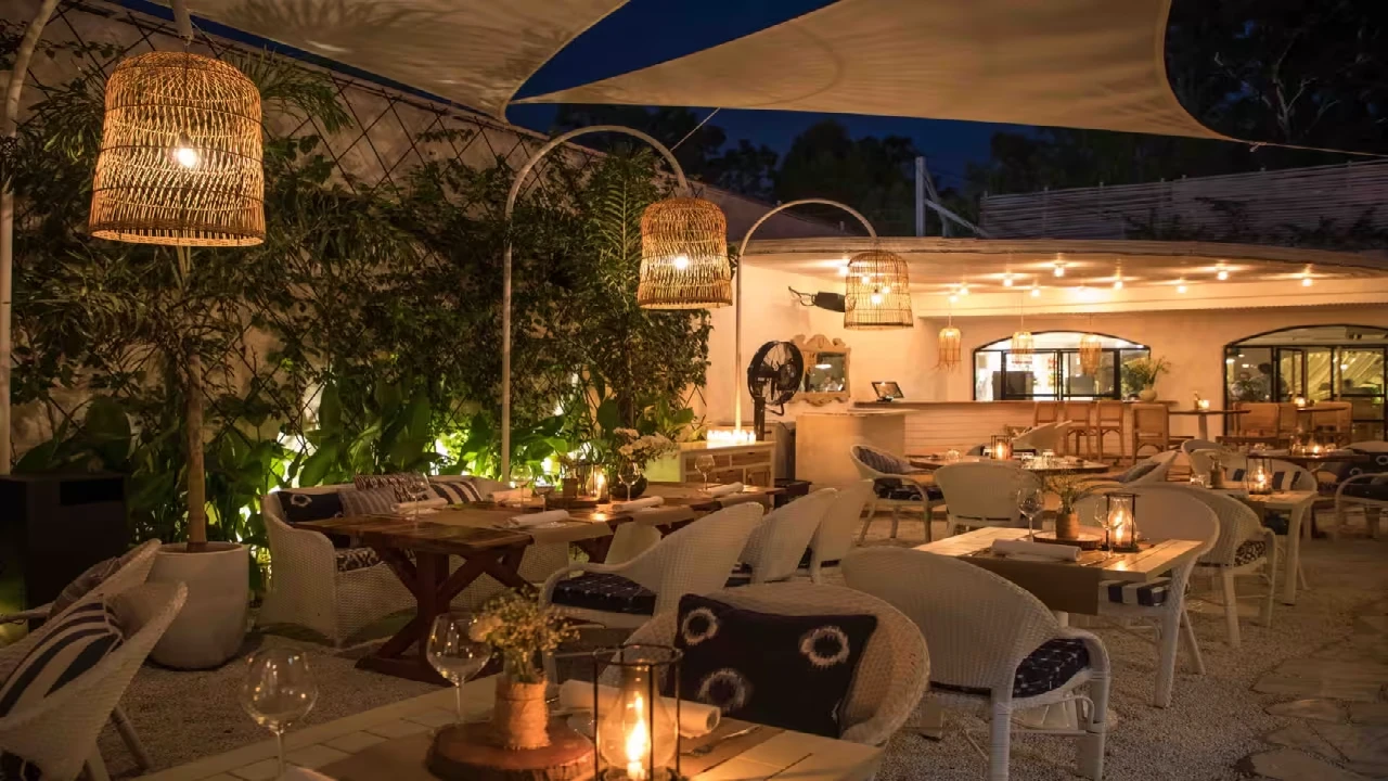 Olive Cafe and Bar