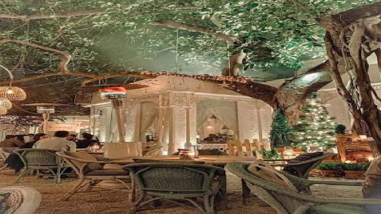 Olive Bar & Kitchen