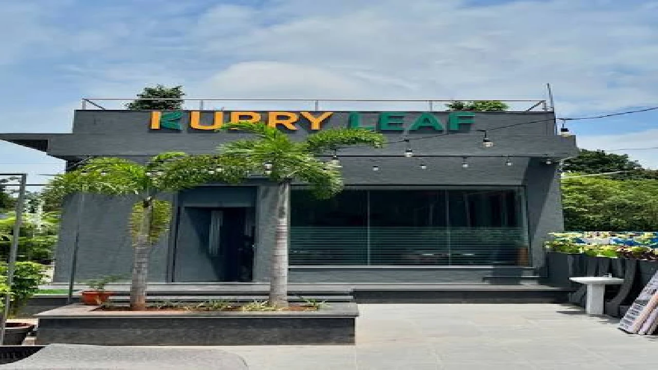 Kurry Leaf | Erandwane